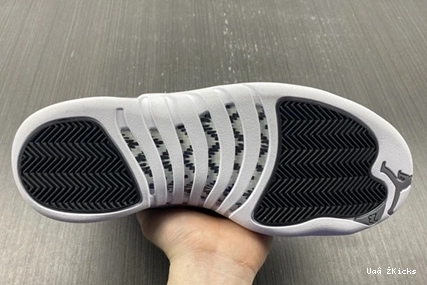Jordan Durable 12 STEALTH CT8025-610 Air 754 0713